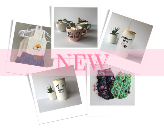 All new arrivals for dog clothes