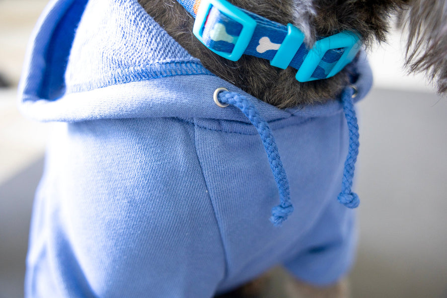 Big Brother Dog Hoodie – Sibling Reveal Outfit for Dogs