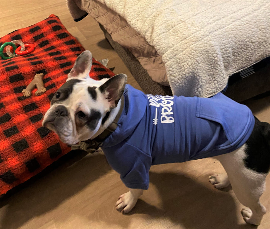 Big Brother Dog Hoodie – Sibling Reveal Outfit for Dogs