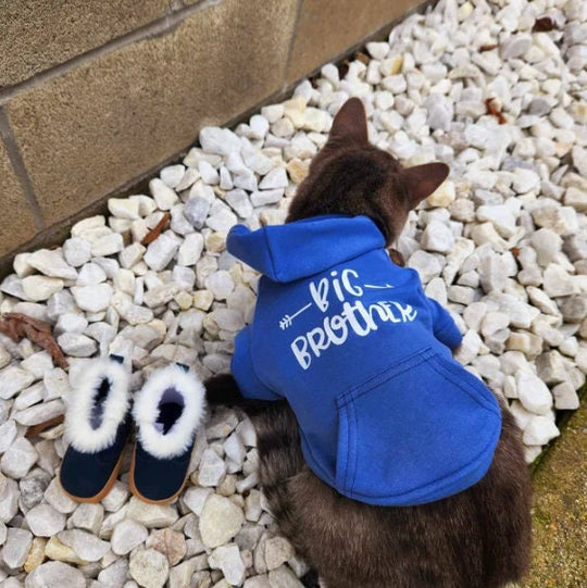 Big Brother Hoodie for Cats – Sibling Reveal Sweatshirt for Cat Lovers