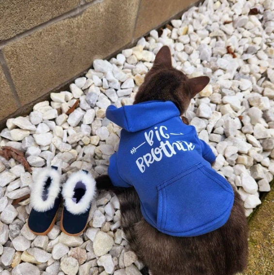 Big Brother Hoodie for Cats – Sibling Reveal Sweatshirt for Cat Lovers
