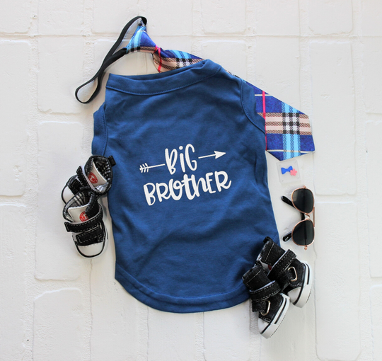 Big Brother Sibling Dog Shirt – Blue Reveal Outfit for DogsBig Brother Shirt, Blue Shirt with white letters, Sibling Reveal Shirt