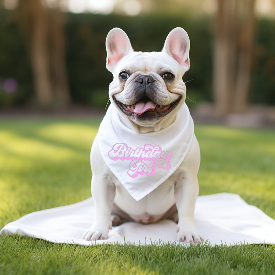 Birthday Bandana for Girl Dog – Cute Party Accessory for Pup