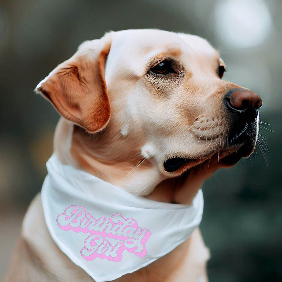 Birthday Bandana for Girl Dog – Cute Party Accessory for Pup