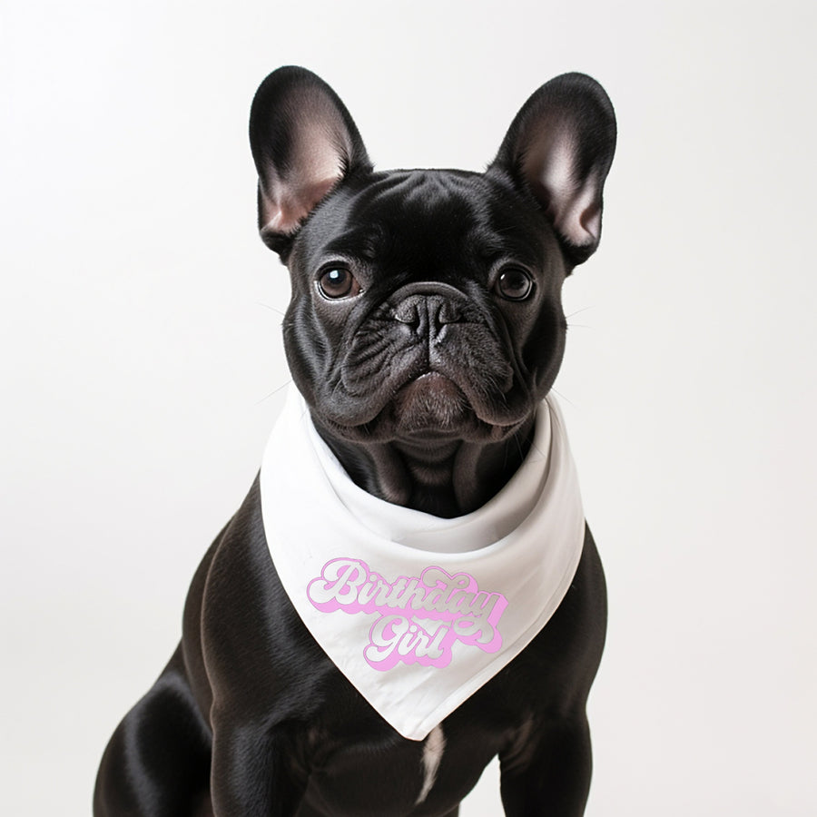 Birthday Bandana for Girl Dog – Cute Party Accessory for Pup