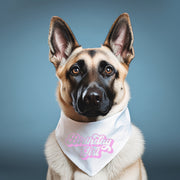 Birthday Bandana for Girl Dog – Cute Party Accessory for Pup