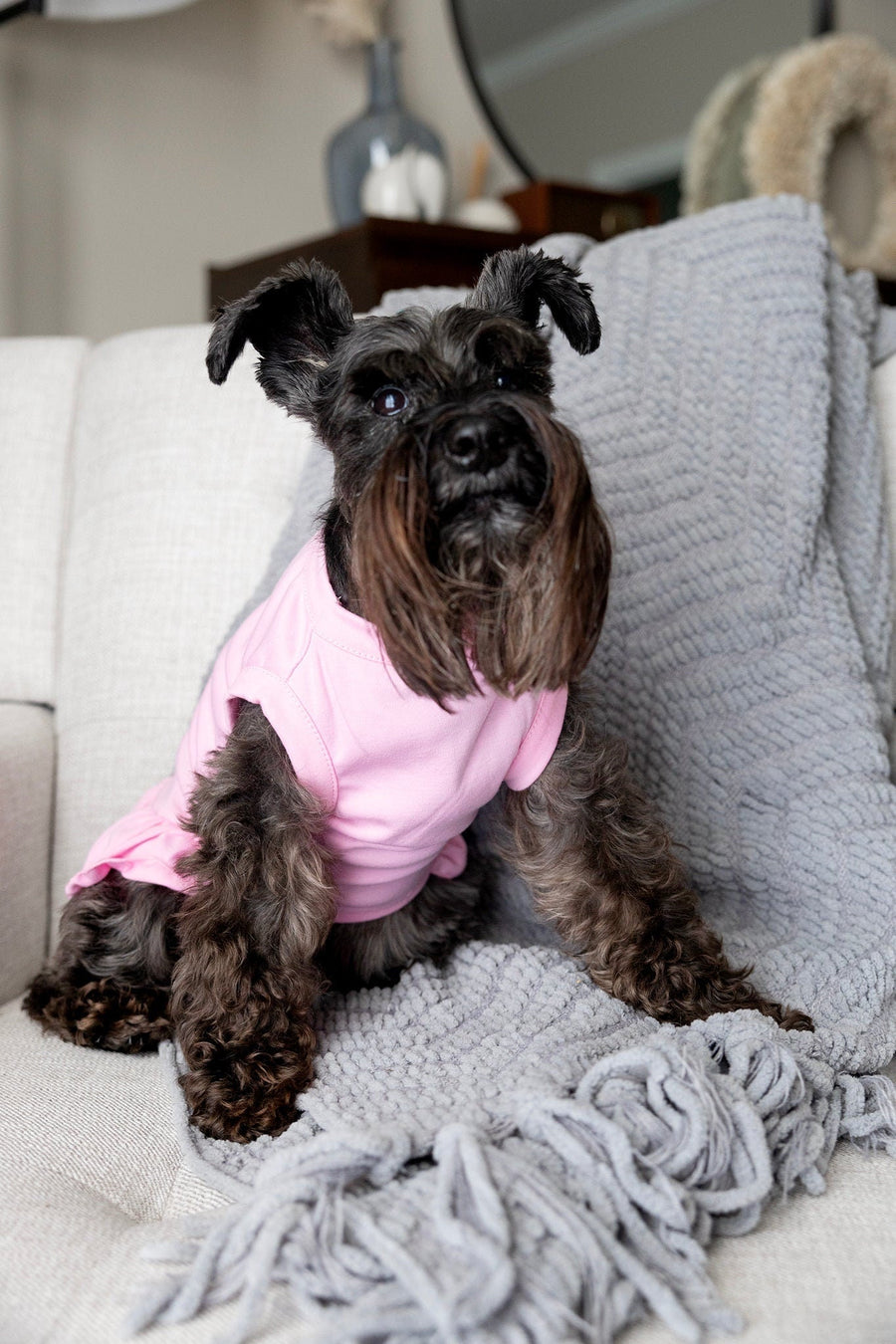 Birthday Dress for Dog – Pink Party Dress for Girl Pup