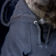 Black Dog Hoodie for Trick or Treating - Stylish & Cozy Costume