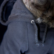 Black Dog Hoodie with Glow-in-the-Dark Pumpkin Face - Halloween Pet Costume