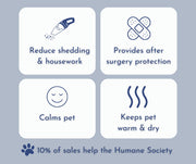 Black Dog Hoodie with Glow-in-the-Dark Pumpkin Face - Halloween Pet Costume