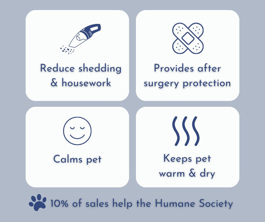 Black Dog Hoodie with Glow-in-the-Dark Pumpkin Face - Halloween Pet Costume