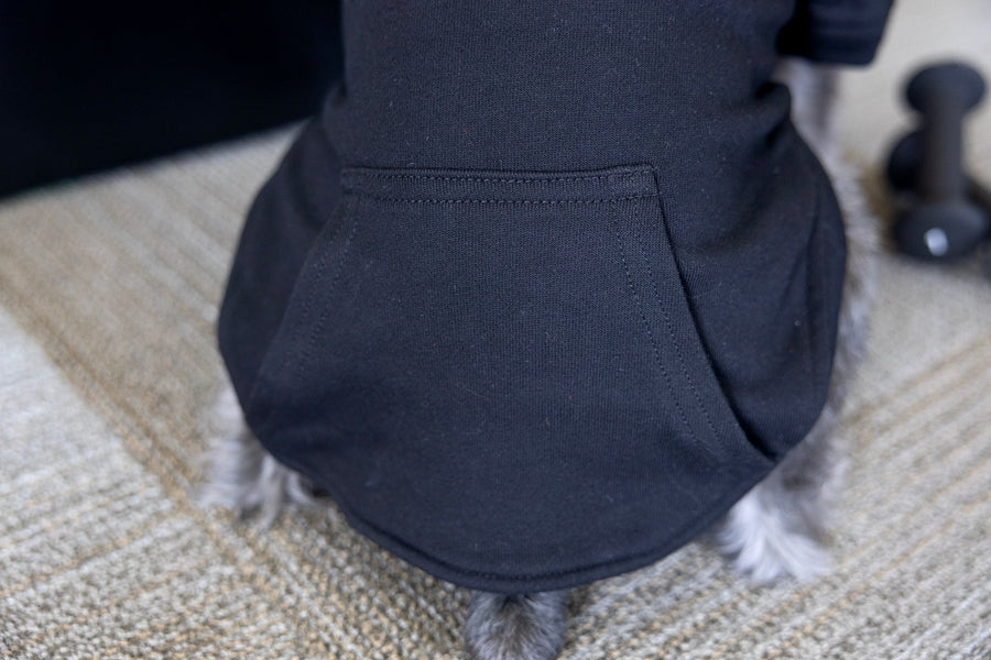 Pet sweatshirt with full pocket on back of dog shirt, cute dog costume for Halloween.