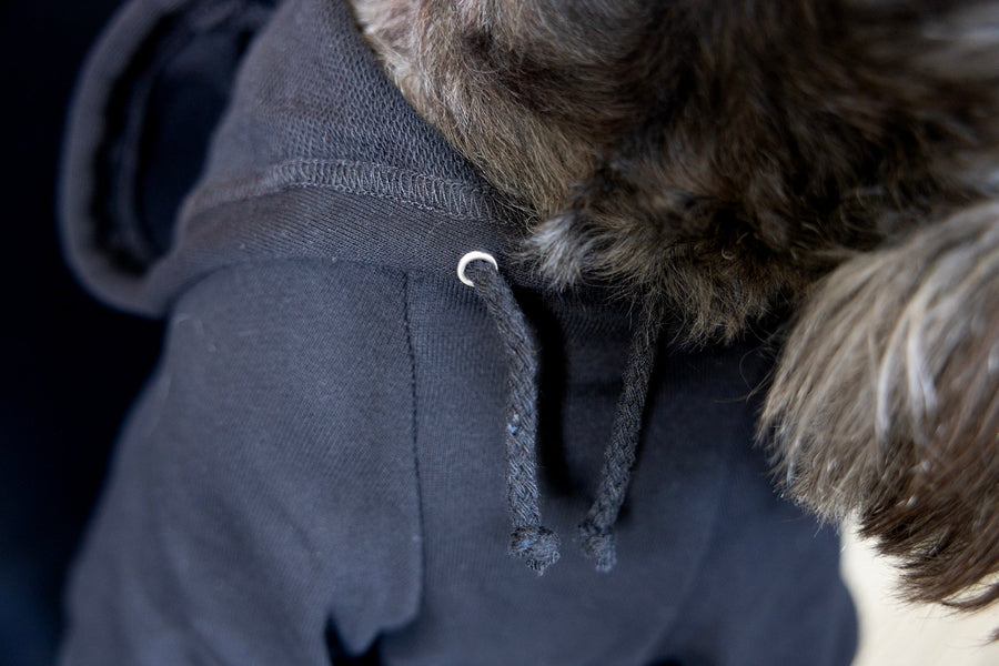 Black Halloween Hoodie for Dog | Spooky and Stylish Pet Outfit
