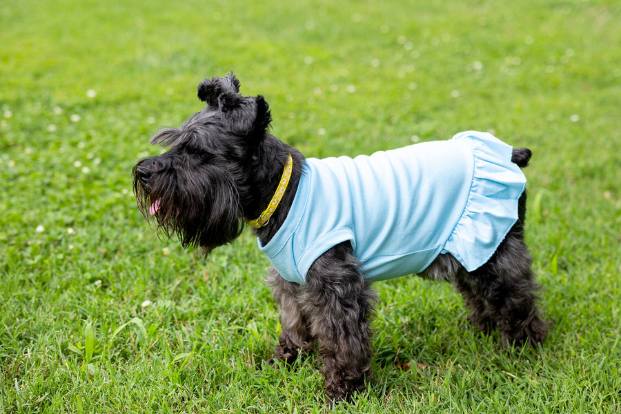 Blue Dog Dress for Winter - Warm & Cozy Outfit for Cold Weather
