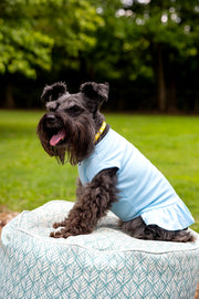Blue Dog Dress for Winter - Warm & Cozy Outfit for Cold Weather
