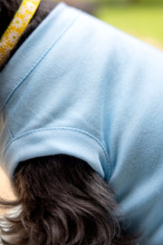 Blue Dog Dress for Winter - Warm & Cozy Outfit for Cold Weather