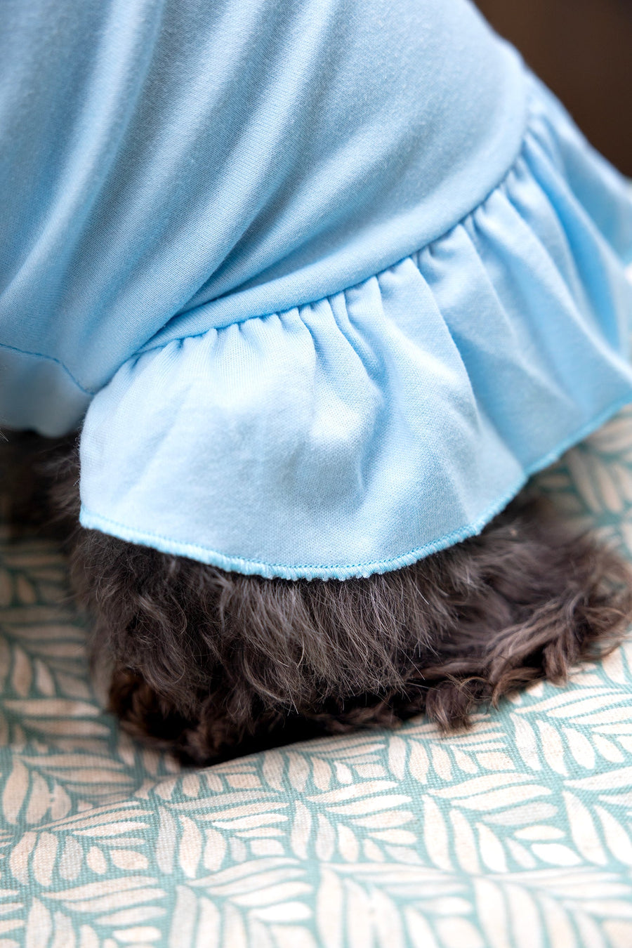 Blue Dog Dress for Winter - Warm & Cozy Outfit for Cold Weather