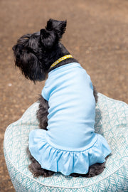 Blue Dog Dress for Winter - Warm & Cozy Outfit for Cold Weather
