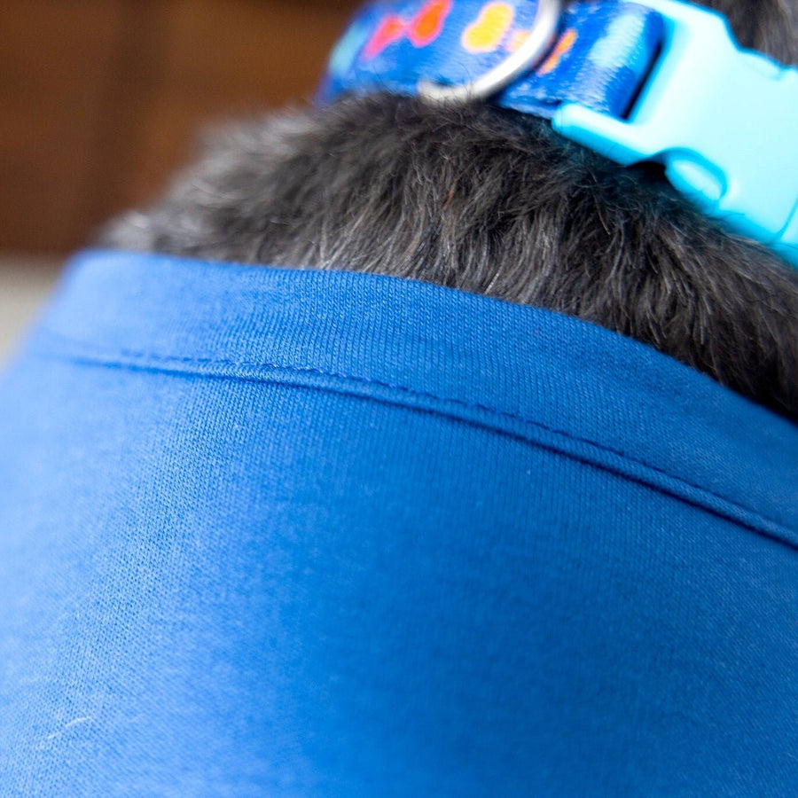 Blue Dog Shirt for Big Brother - Sibling Tee for New Baby Announcement