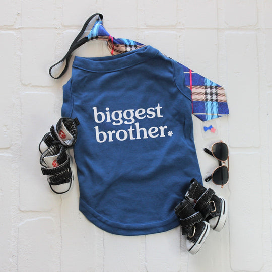 Blue Dog Shirt for Big Brother - Sibling Tee for New Baby Announcement