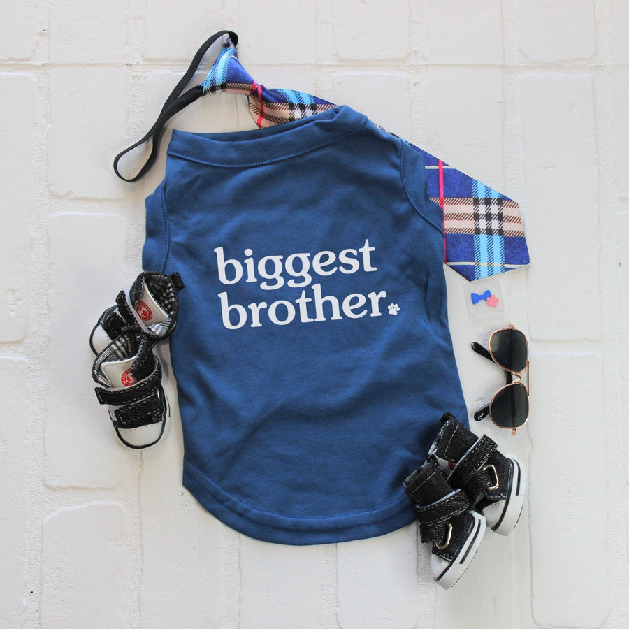 Blue Dog Shirt for Big Brother - Sibling Tee for New Baby Announcement
