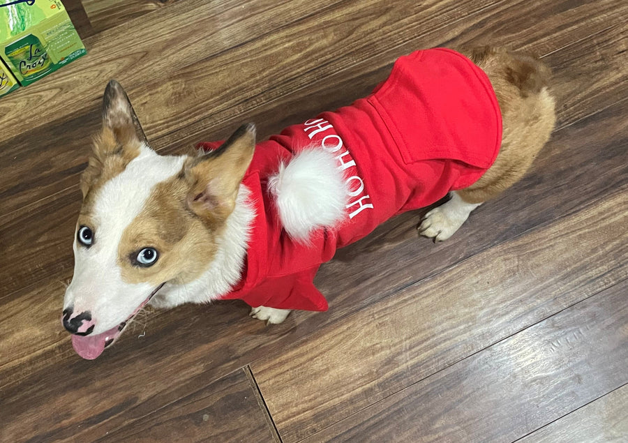 Christmas Dog Hoodie with 'Ho Ho Ho' - Festive Holiday Pet Outfit