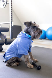 Side view of blue dog hoodie reveals hemmed sleeves and true hood for dogs.