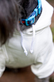 Custom 1st Birthday Dog Shirt – Personalized Party Outfit