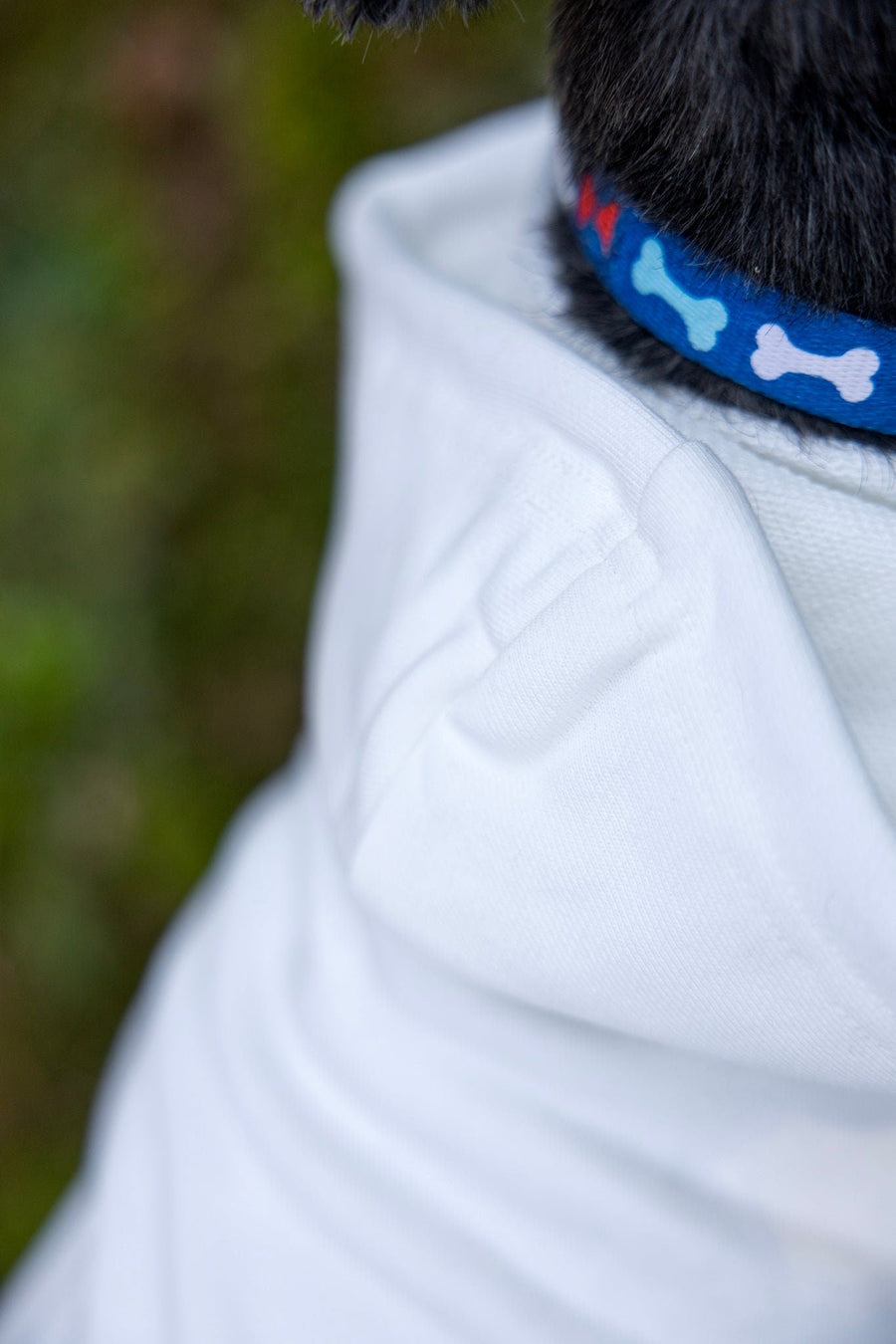 Custom 1st Birthday Dog Shirt – Personalized Party Outfit