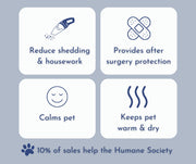 Custom 1st Birthday Dog Shirt – Personalized Party Outfit