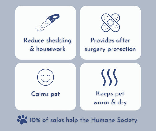 Custom 1st Birthday Dog Shirt – Personalized Party Outfit