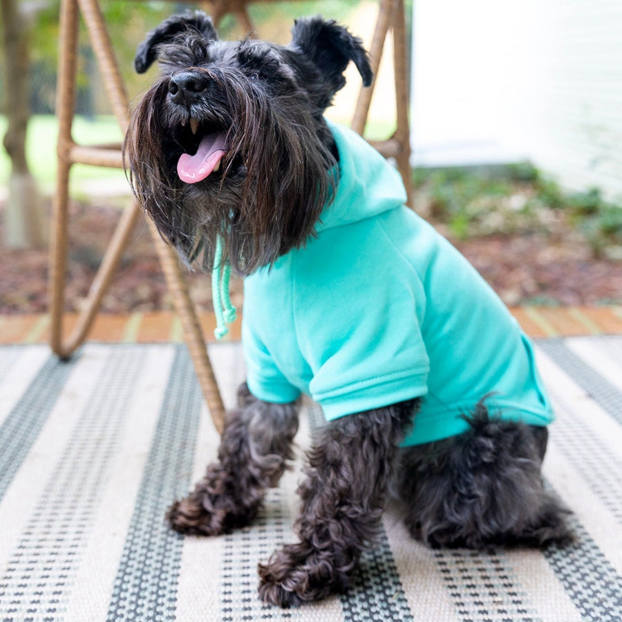 Custom Teal Dog Sweatshirt - Personalized Pet Shirt for Stylish Comfort