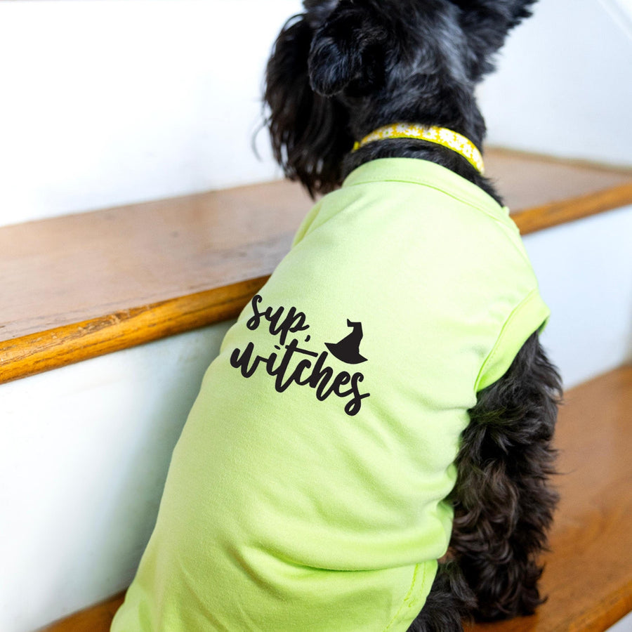 Cute Halloween Shirt for Dog | Fun & Festive Pet Costume