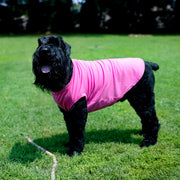 Daddy's Girl Dog Shirt | Pink Tee for Father's Day Gift, Puppy Tank