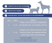 Personalized Dog Bandana with Name | Varsity Letters for Your Pet