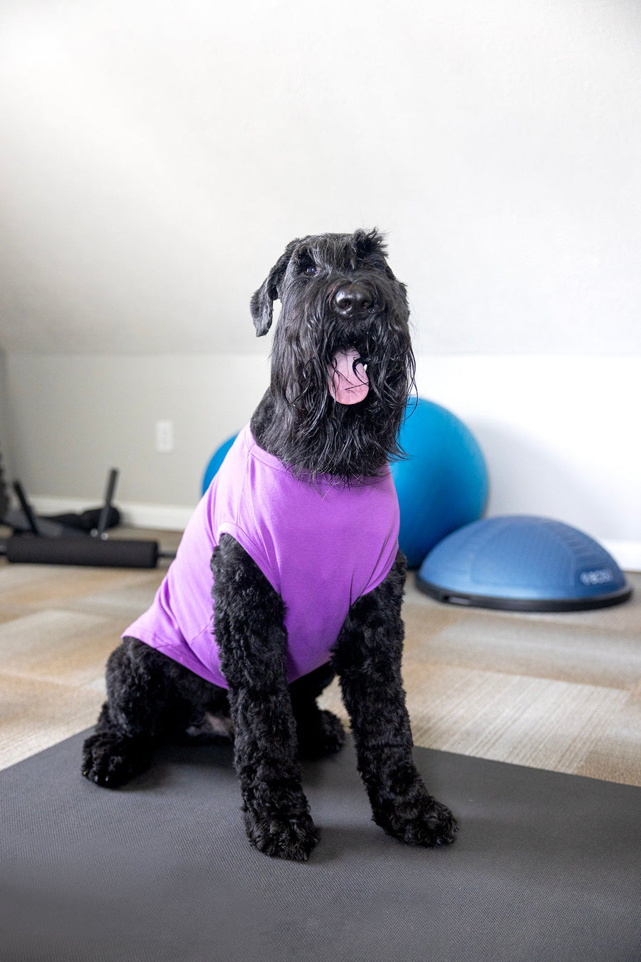 Purple Blank Pet Shirt for DIY Customization - Perfect for Personalizing