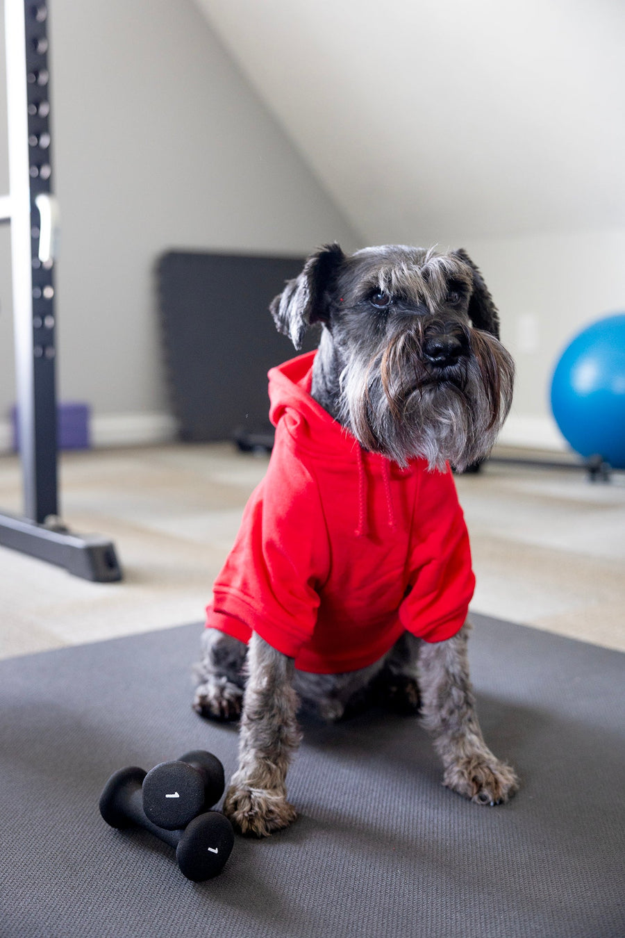 Front view of custom dog hoodie in red, dog shirt is unisex.