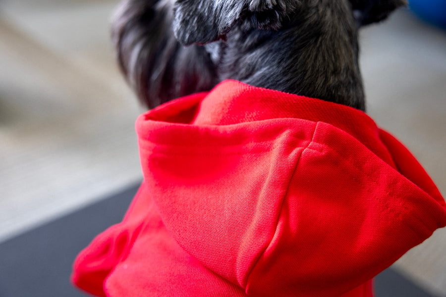 Close up of hood on red dog sweatshirt, luxury dog clothes with waffle texture inside hood.
