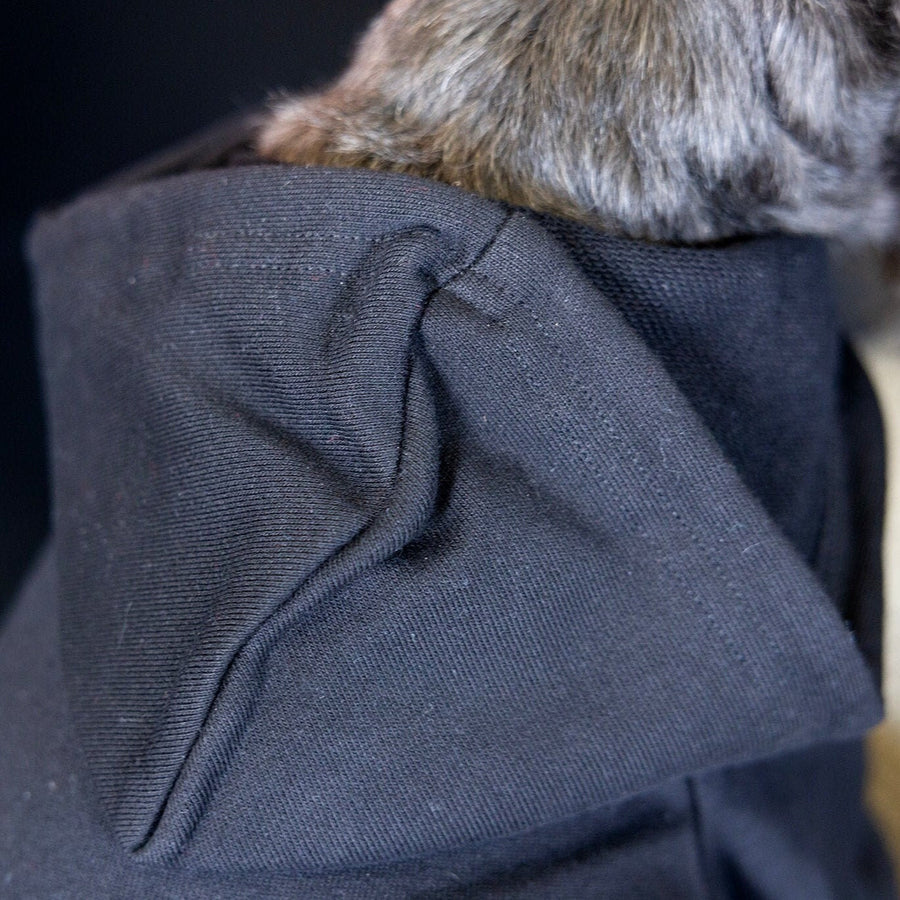 Halloween Dog Sweatshirt | Fall Pet Apparel for Spooky Season