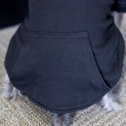 Halloween Dog Sweatshirt | Fall Pet Apparel for Spooky Season