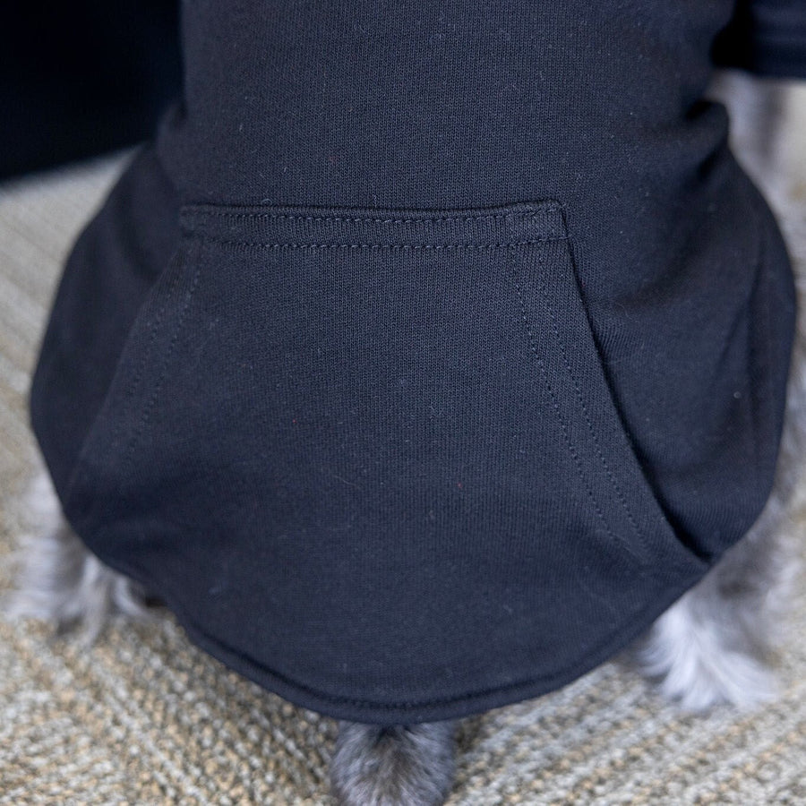 Halloween Dog Sweatshirt | Fall Pet Apparel for Spooky Season