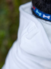 Happy Birthday Shirt for Dogs - Perfect Outfit for Your Pet's Party!