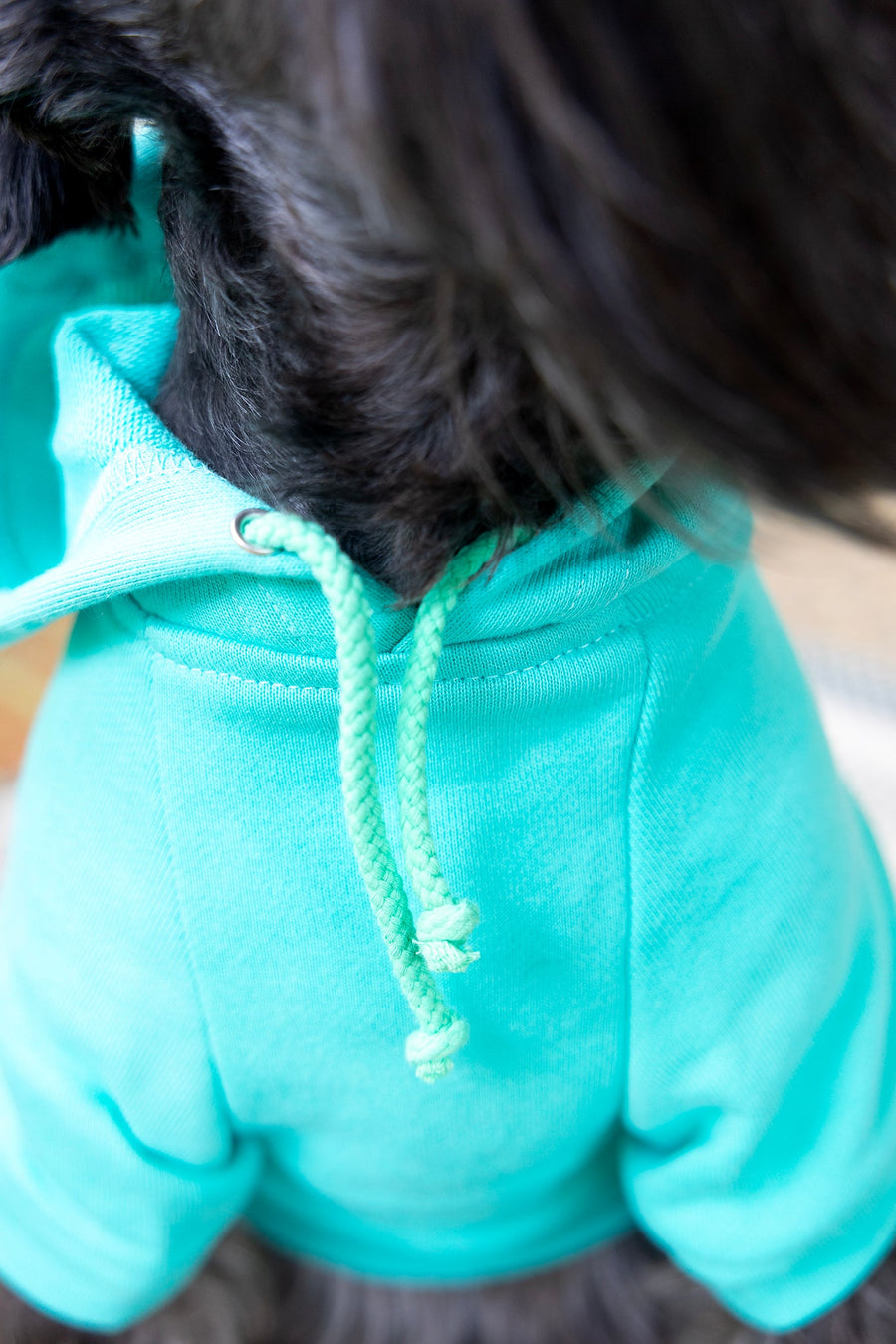 Mama's Boy Dog Hoodie | Teal Sweatshirt Outfit for Stylish Boy Dogs