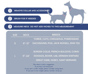 Perfect Birthday Gift Box: Dog Bandana, Fragrance Spray & Toy Ball