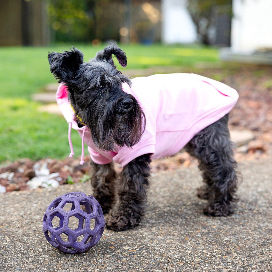 Pink Breast Cancer Supporter Dog Hoodie - Awareness Apparel for Dogs
