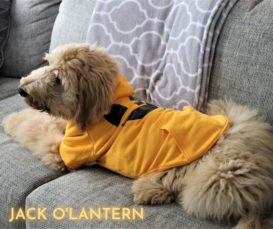 Pumpkin Dog Sweatshirt with Hood - Cute Halloween Outfit for Dogs