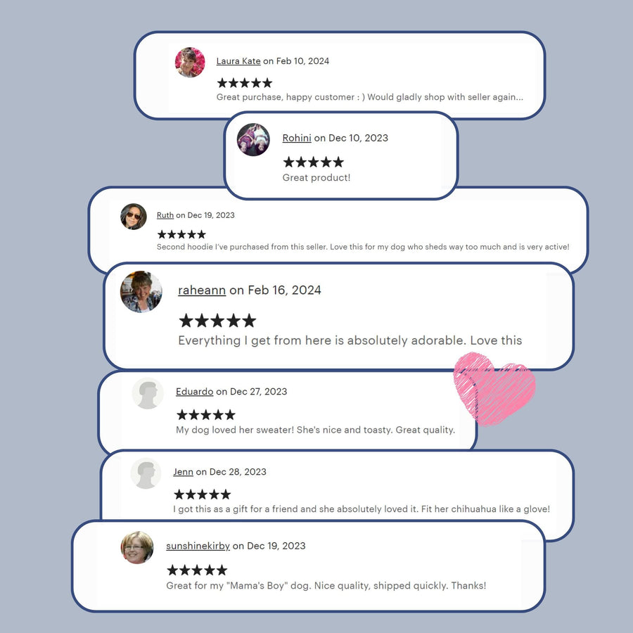 Big Sister Sibling Pet Shirt – Neutral Colors for Your Pet