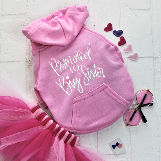 Sibling Dog Hoodie - Big Sister Outfit for Dogs