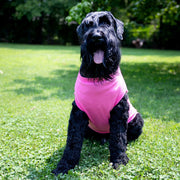 Sister Dog Shirt in Pink - Sibling Pet Tank for Girl Dogs