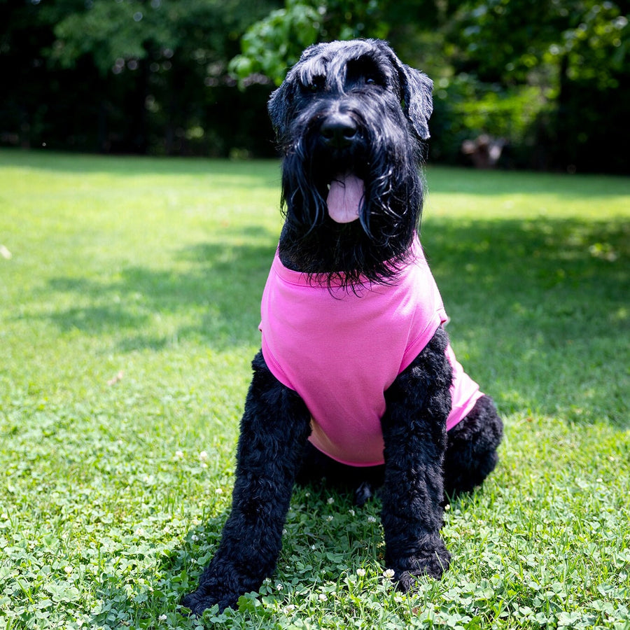 Sister Dog Shirt in Pink - Sibling Pet Tank for Girl Dogs